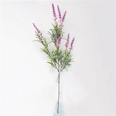 Coesau Blodau Prawf Uv